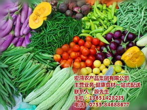 宏鴻農(nóng)產(chǎn)品集團(tuán) 專(zhuān)業(yè)工廠食材配送，保障農(nóng)副產(chǎn)品高效供應(yīng)