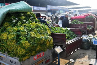 時代脈搏上的“菜籃子”——我眼中的咸陽新陽光西北農副產品交易中心