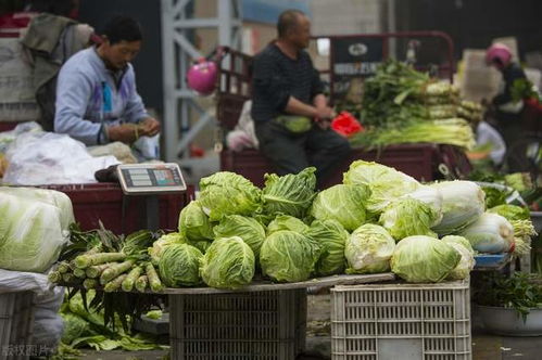 農副產業電商的數字化升級 共繪鄉村振興美好未來