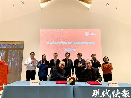 茶葉也能做親子鑒定？南農大突破性技術即將在南京落地推廣